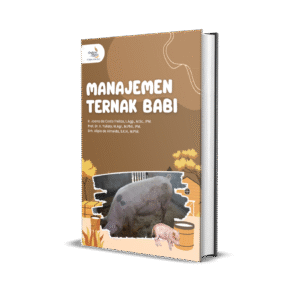MANAJEMEN TERNAK BABI